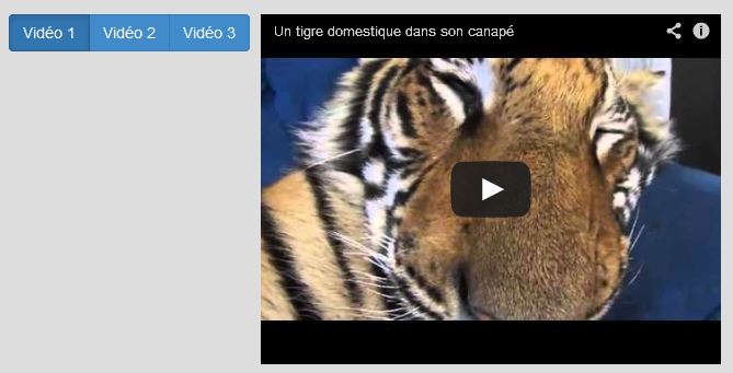 Boutons avec effet option dans la page d'exemple