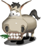 Image utilisateur