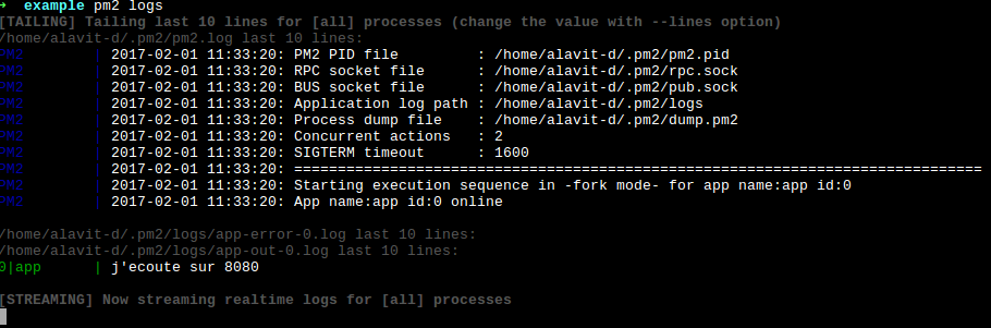 pm2logs