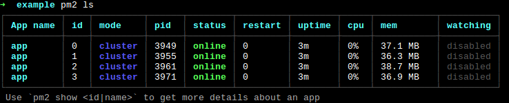 pm2 ls cluster