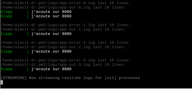 pm2 logs cluster