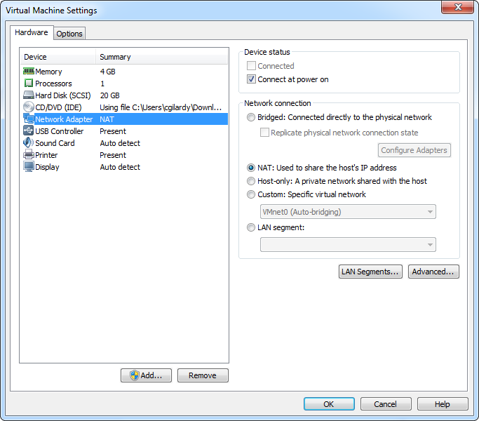 Network service status. Advanced segment. Laba_01_1_VM_config..