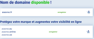 Vérifiez si le nom de domaine est libre avant de continuer