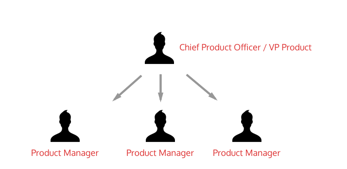 Chief Product Officer Org Chart