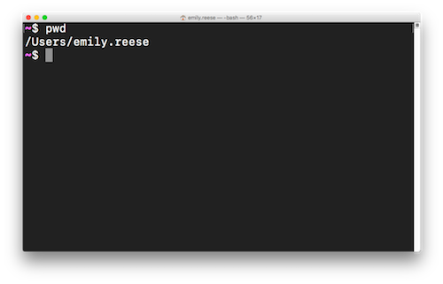 Output from the pwd command