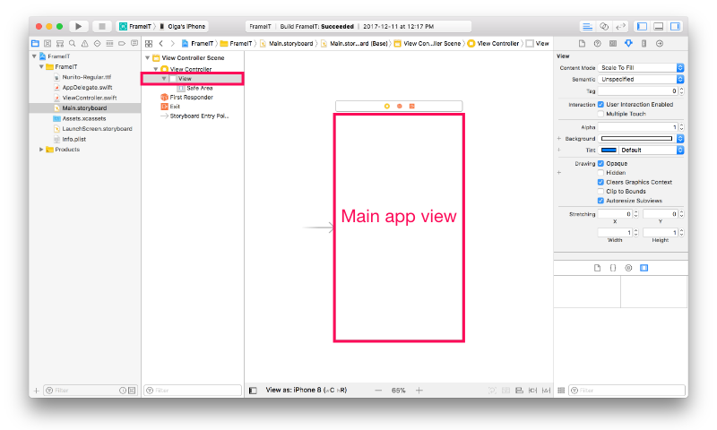 Main app view
