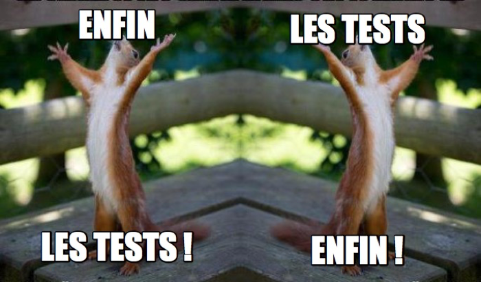 Meme des deux écureuils qui hurlent : Enfin les tests les tests enfin !