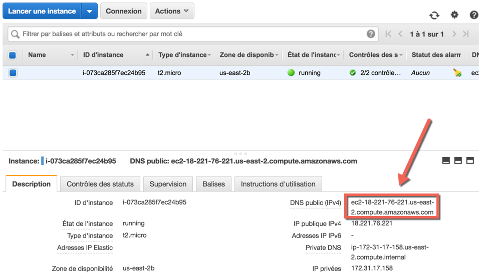 On retrouve l'adresse de notre serveur dans l'interface EC2