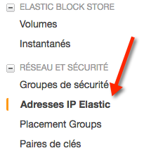 Le menu pour accéder aux IP Elastic