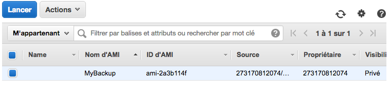 Un AMI a été créé à partir de notre serveur !