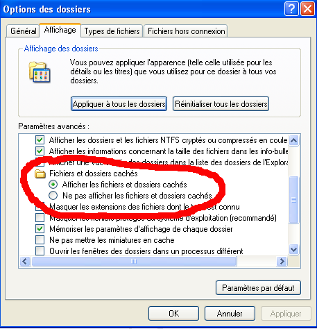 Afficher les fichiers masqués (sous Windows XP)
