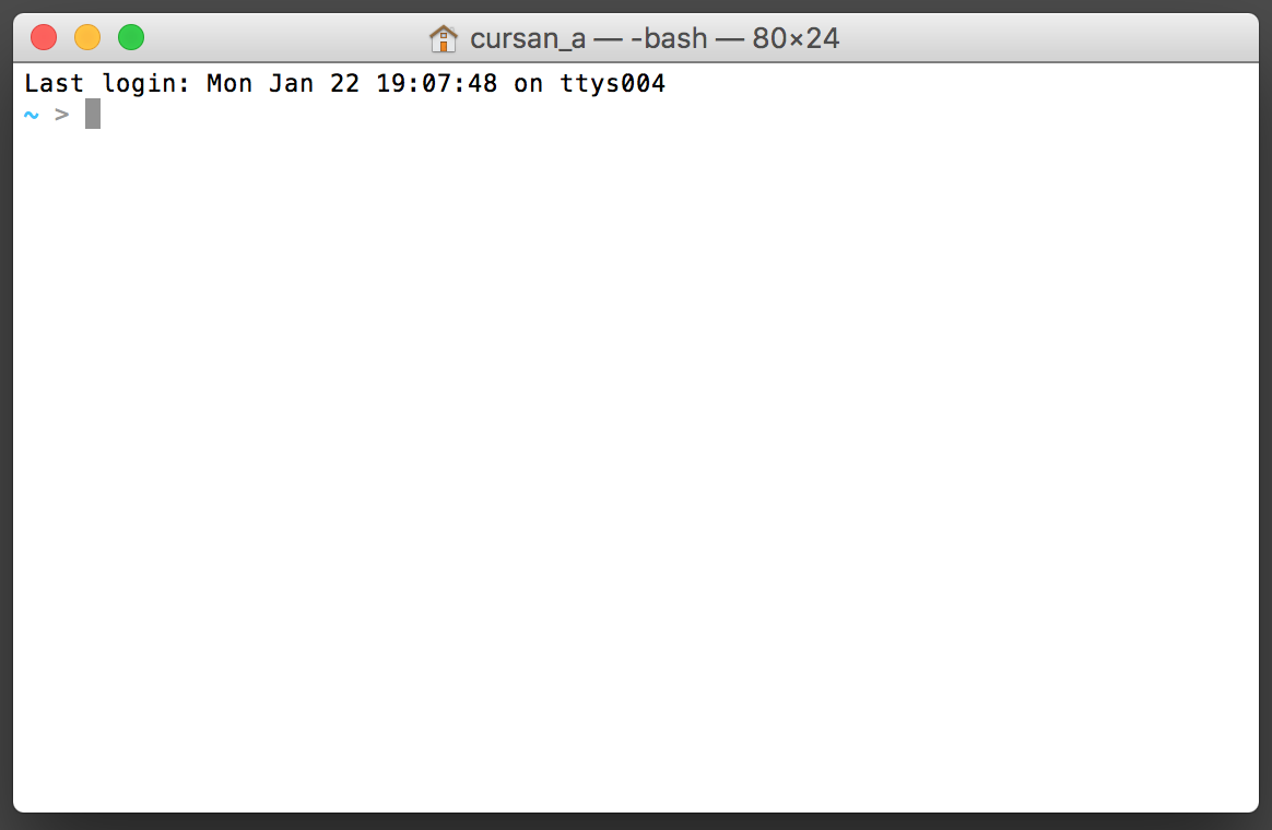 Fenêtre par défaut du Terminal sous Mac OS.