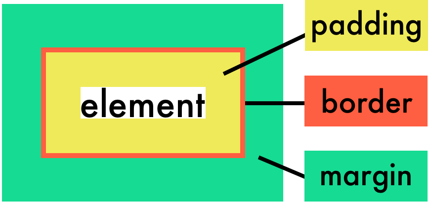 An element and its padding, border, and margin