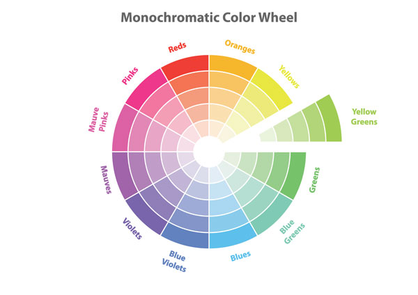 Color wheel organized by colors with different shades.