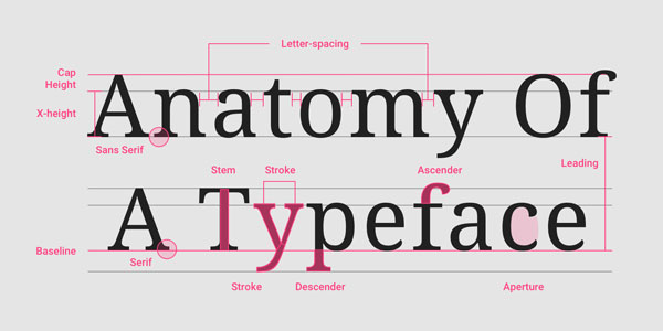 Different details that make up the anatomy of a letter form.