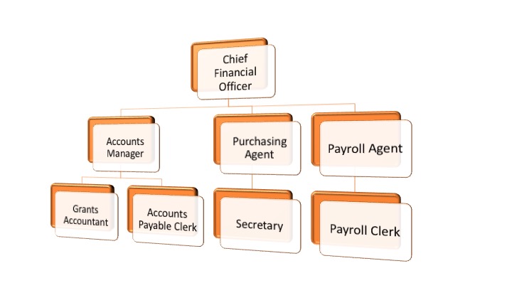 A company organisation chart