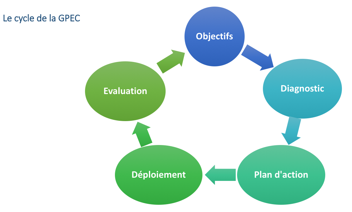 Le cycle de la GPEC