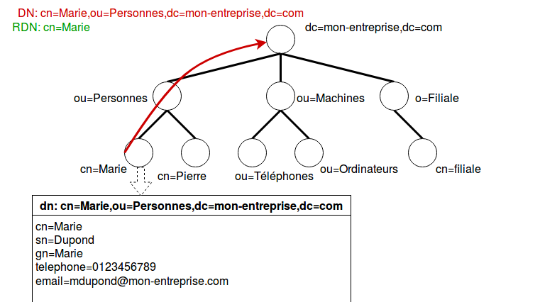 Schéma d'un arbre avec une racine