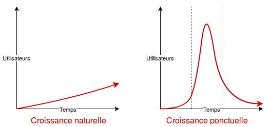 2 schémas : l'un montrant une croissance lente et continue (croissance naturelle), l'autre montrant une courbe de croissance en cloche (croissance ponctuelle)