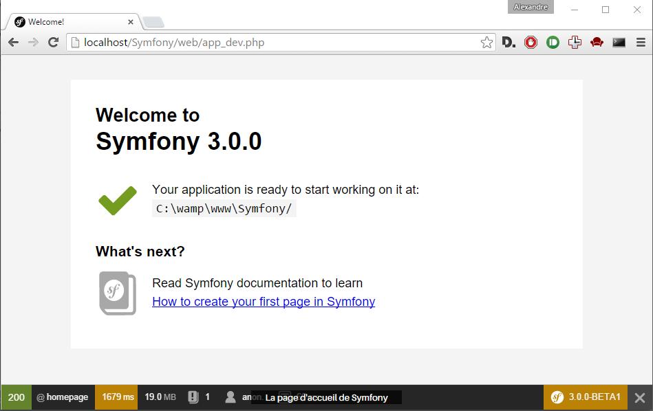 Symfony lock что за файл