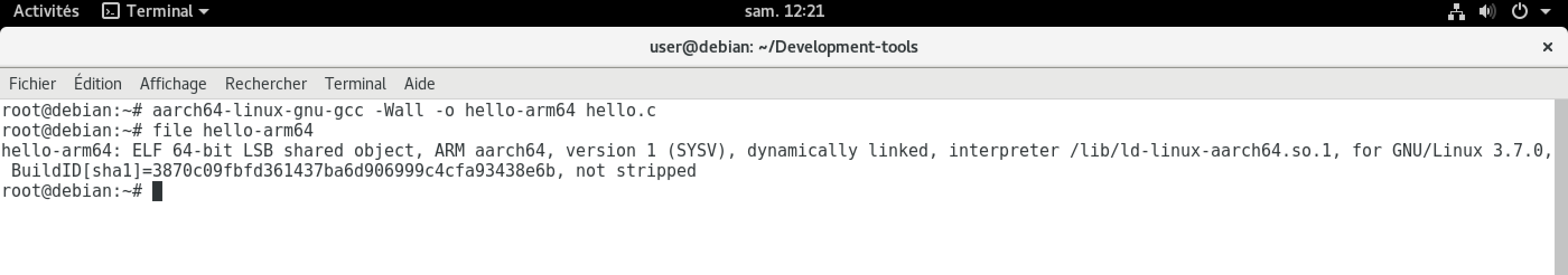 Analyse du fichier hello-arm64