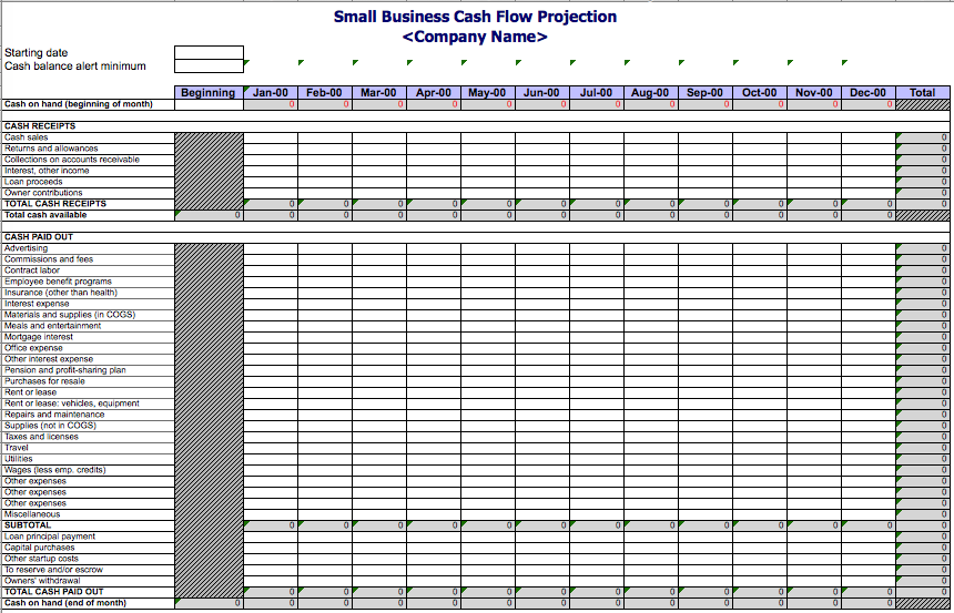 Cash flow projection