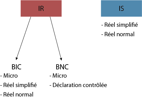 IR : BIC OU BNC BIC: - micro - réel simplifié - réel normal  BNC: - micro - déclaration contrôlée  IS: - réel simplifié - réel normal
