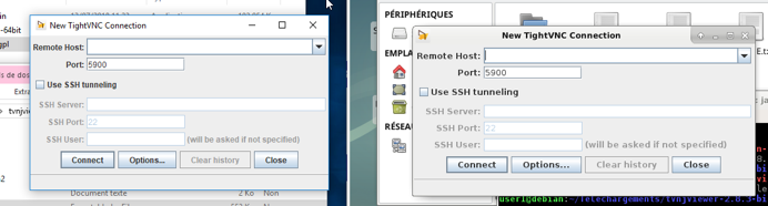 Fenêtre de configuration : champs de Remote Host, Port d'écoute (réglé sur 5900) et autres options.