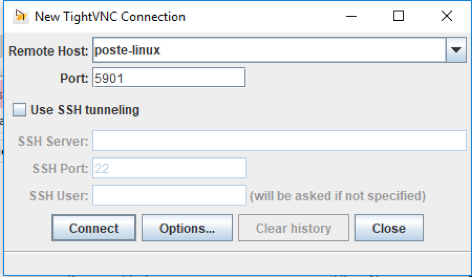 Fenêtre de réglage sous Windows d'un hôte pour un serveur installé sur Linux. Le nom d'hôte est poste-linux et son port d'écoute est le 5901.