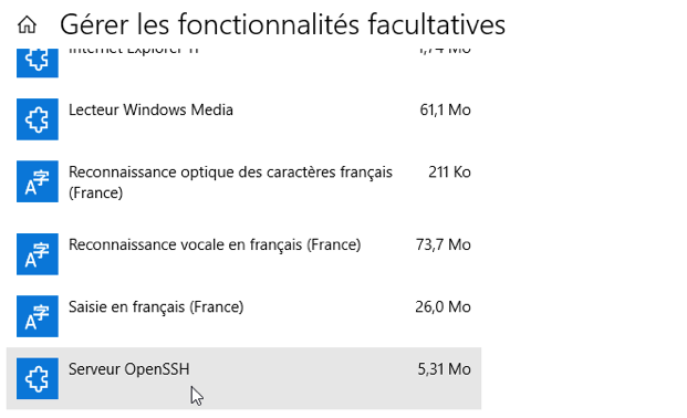 Capture de la fenêtre de gestion des fonctionnalités facultatives listées avec leur taille respective en Mo.