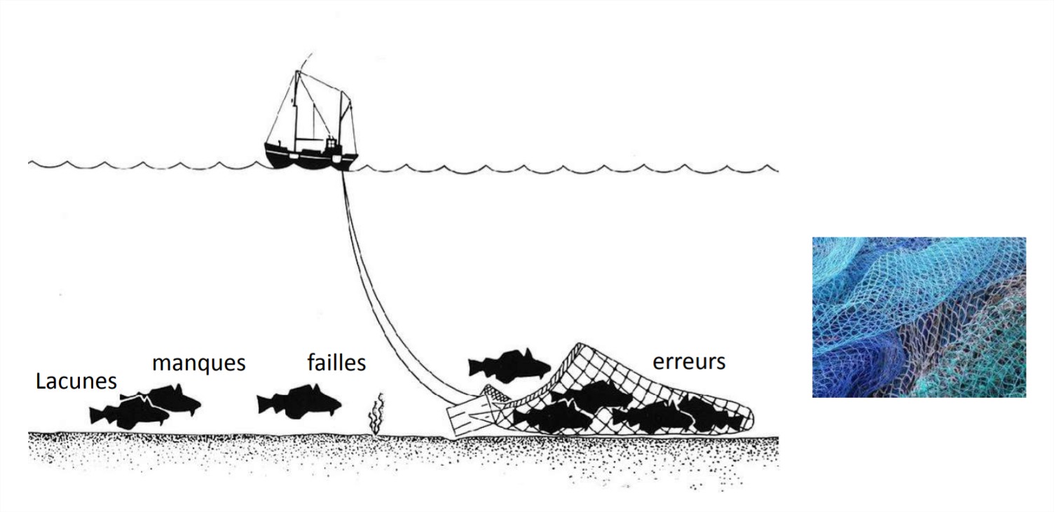 Les activités de vérification et de validation s'organisent alors comme une pêche !