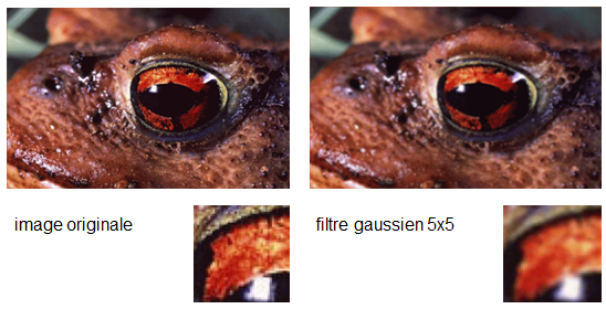 Exemple : filtre gaussien (image : Annick Leroy)