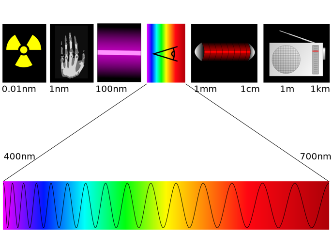 Longueurs d’onde du spectre de la lumière visible au sein de la gamme d’ondes : radio-activité, rayons X, ultra-violets, lumière visible, infra-rouges, ondes radio