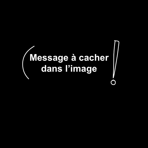 Image du message à cacher dans une autre image