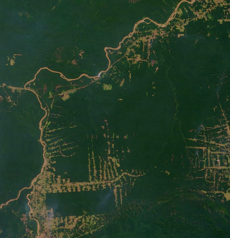 Amazonie en 2000 (source NASA’s Earth Observatory)