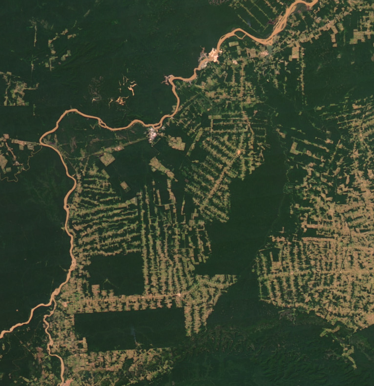 Amazonie en 2012 (source NASA’s Earth Observatory)