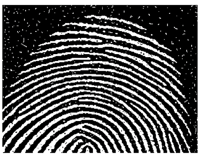 Image avant segmentation