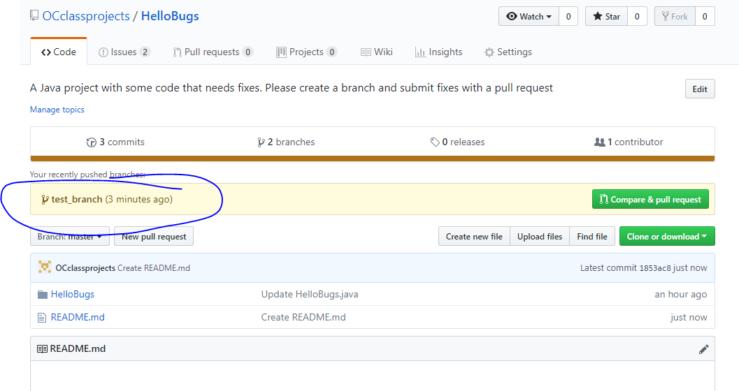 New Branch shows in Github