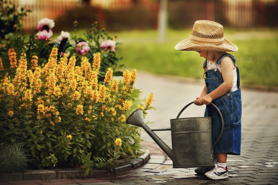 Toddler watering flowers