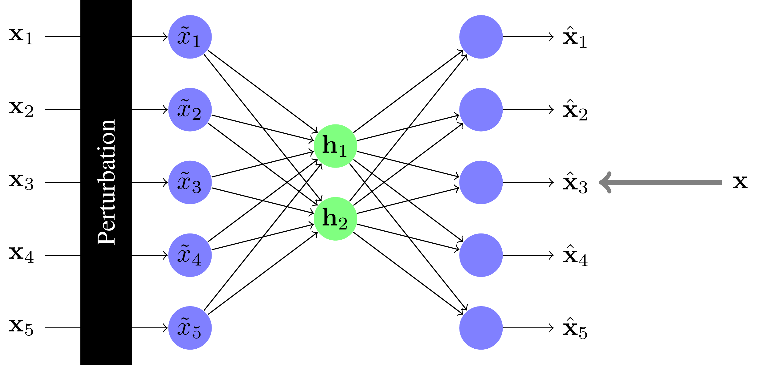 Apprendre un réseau under-complete en ajoutant de la perturbation