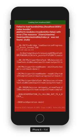 Application React Native avec du code natif