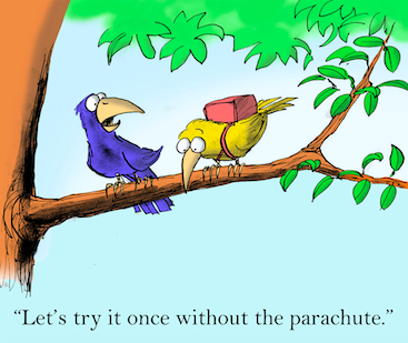 Cartoon of two birds on a branch, one advising the other to jump, without a parachute this time!