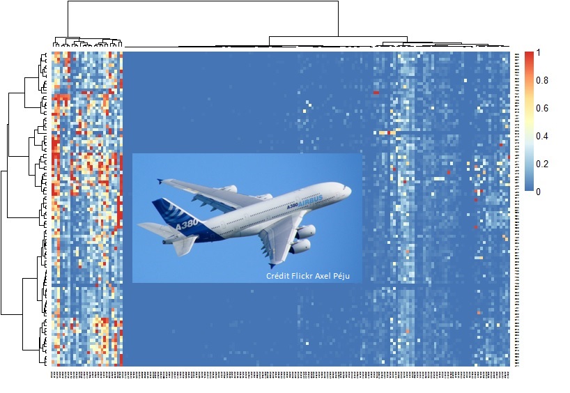 Visualisation avant analyse prédictive d'un recueil de messages d'incidents sur une flotte d'appareils