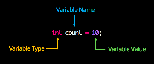 int count = 10; int is the variable type, count is the variable name, and 10 is the variable value