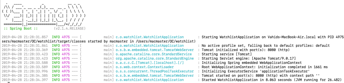 Spring Boot console output when you start the server