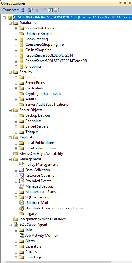 SQL Server DBMS