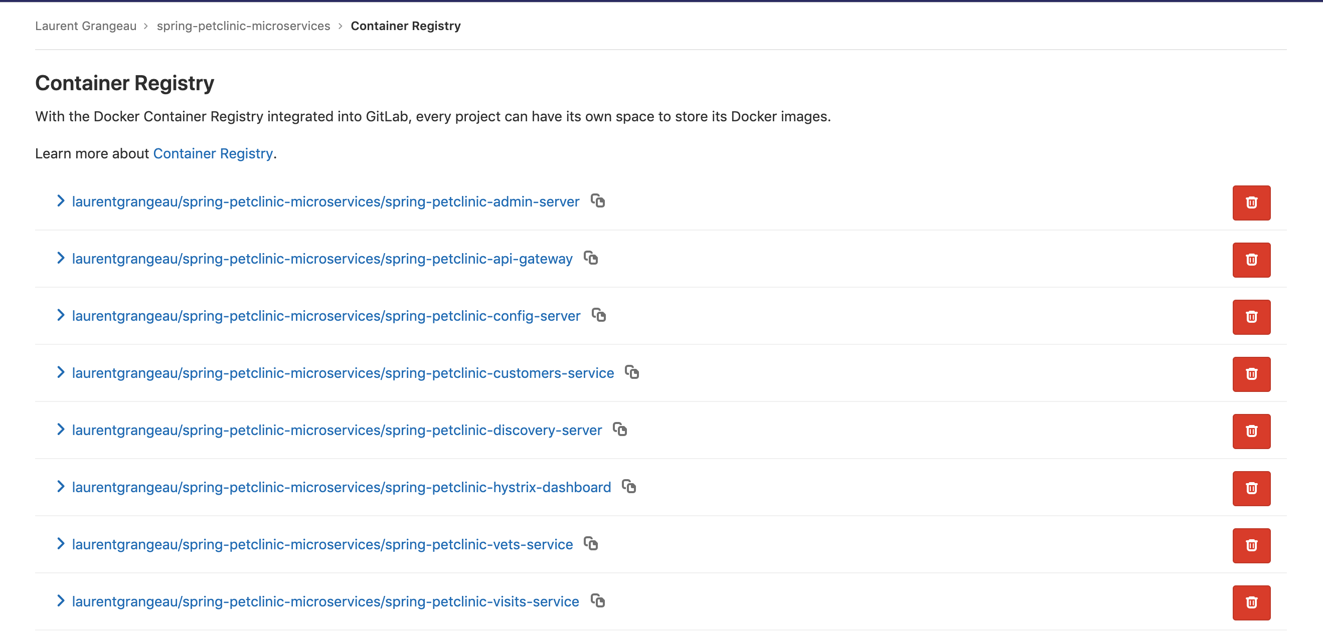 Registry Gitlab de votre projet avec les packages du pipeline