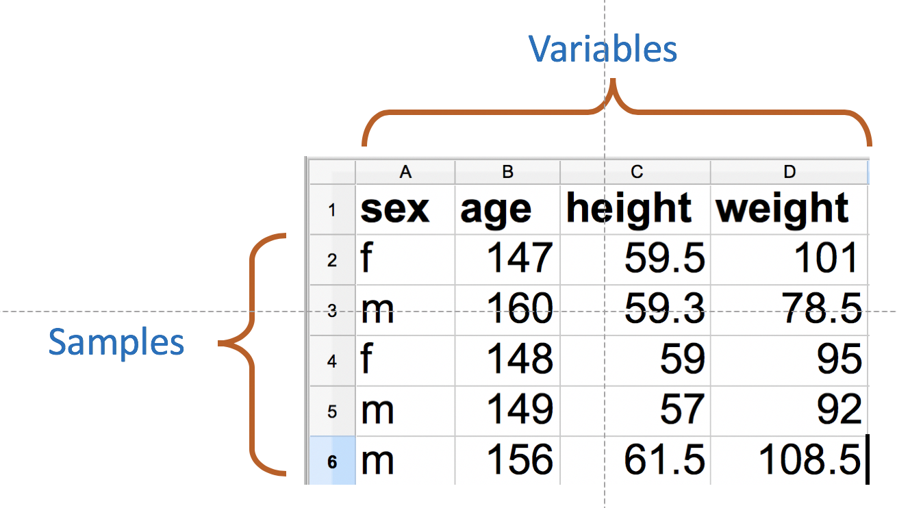 Dataset as a spreasheet