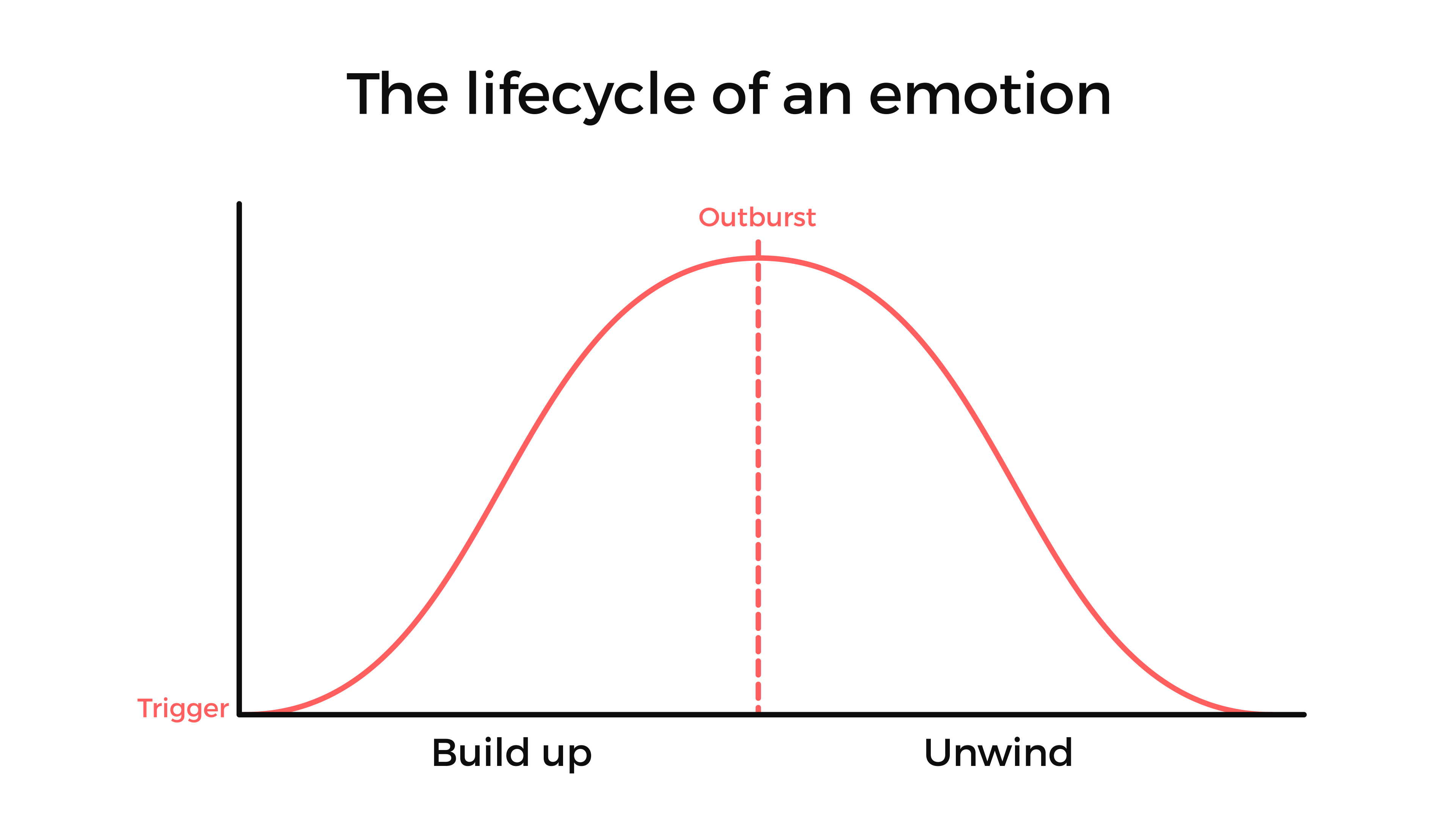 Graph of the lifecycle