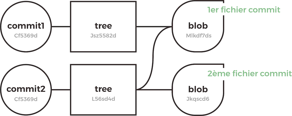 Tree, Blob et Commit